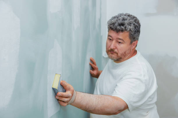 Reliable The Woodlands, TX Mold Removal Solutions