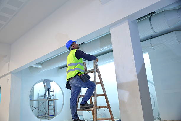 Best Attic Mold Removal  in The Woodlands, TX